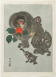 Singes et kakis, années 1930